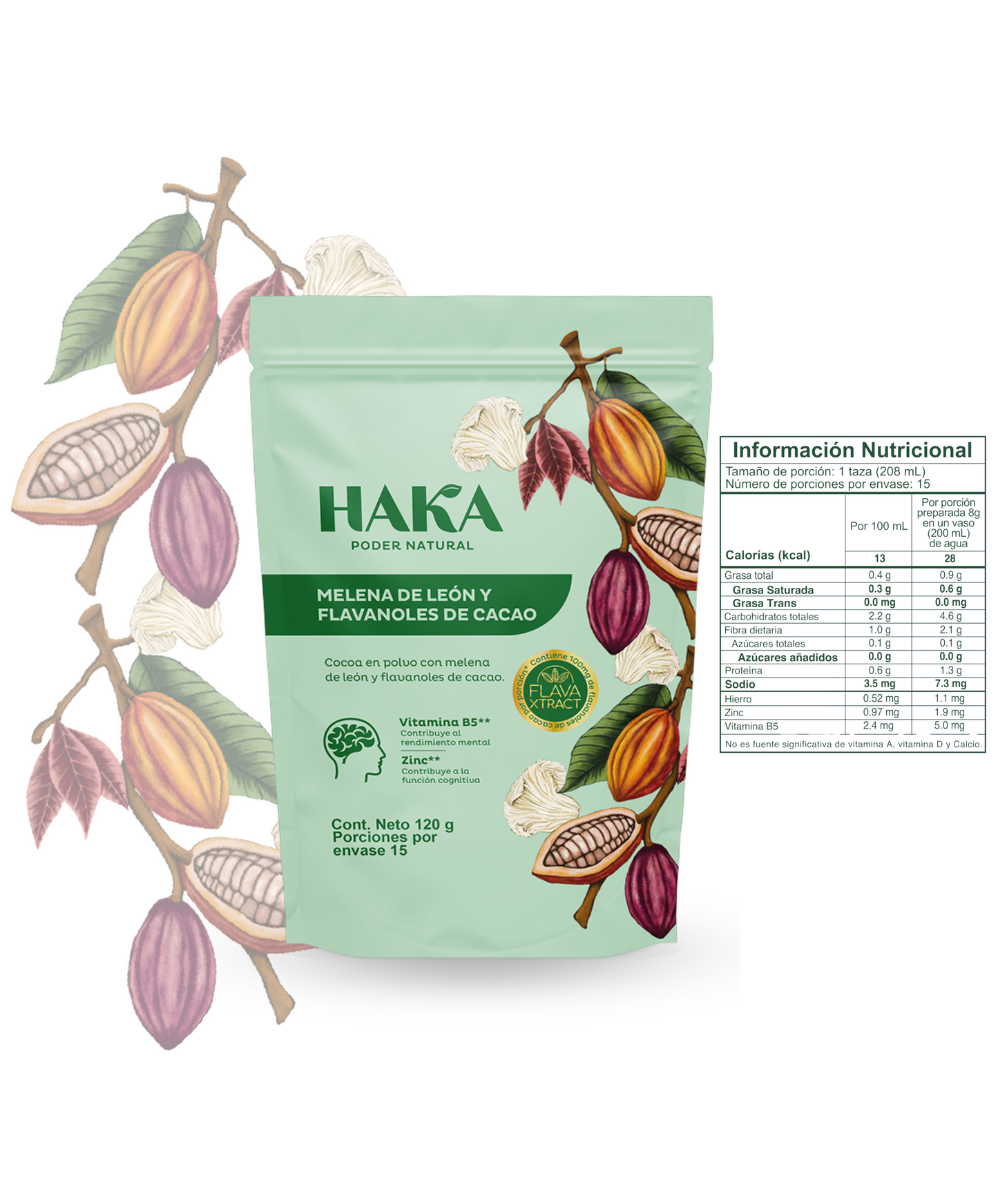 Melena de león y flavanoles de cacao