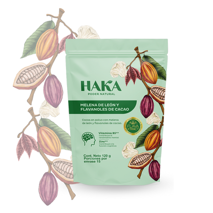 Melena de león y flavanoles de cacao