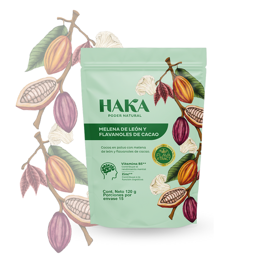 Melena de león y flavanoles de cacao