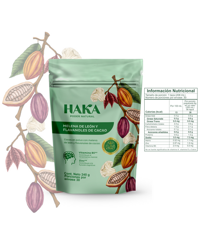 Melena de león y flavanoles de cacao